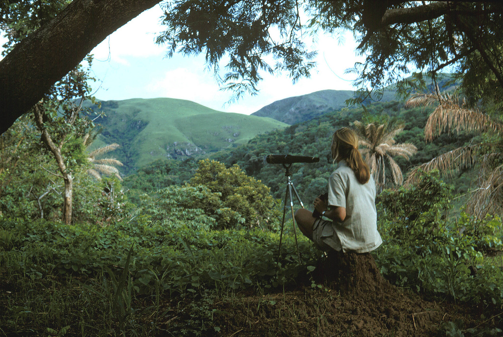 Jane Goodall - 60 años en Gombe © Editorial Confluencias 2015