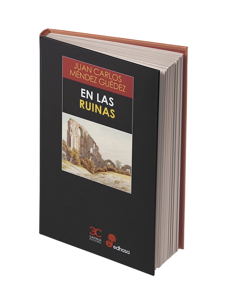 En las ruinas © Juan Carlos Méndez Guédez